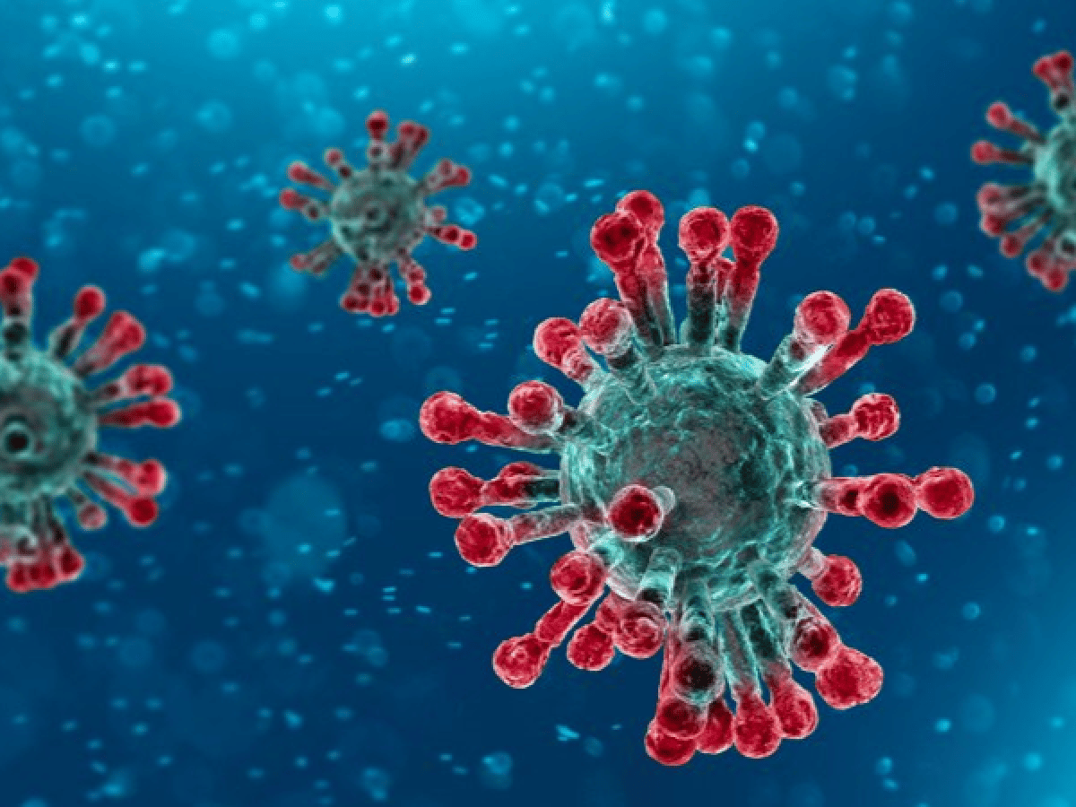 Las cepas del coronavirus sobreviven en los intestinos