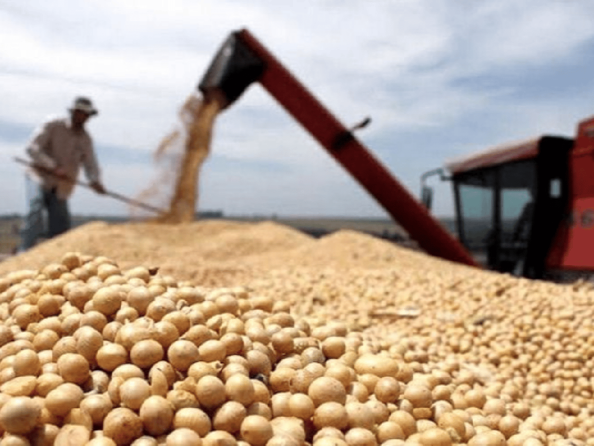 El Gobierno nacional confirmó el aumento al 33% en las retenciones a la soja