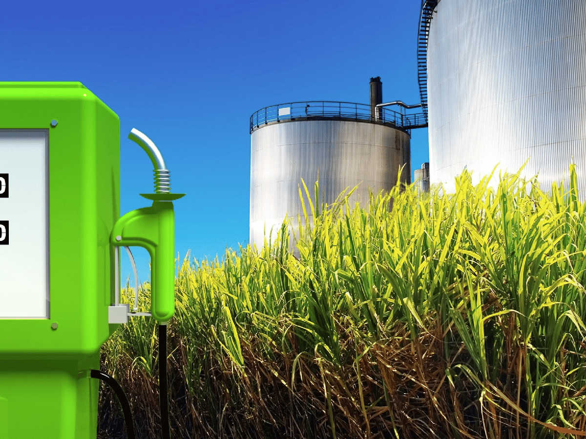 Gobierno autoriza aumentos de hasta 9% en bioetanol        