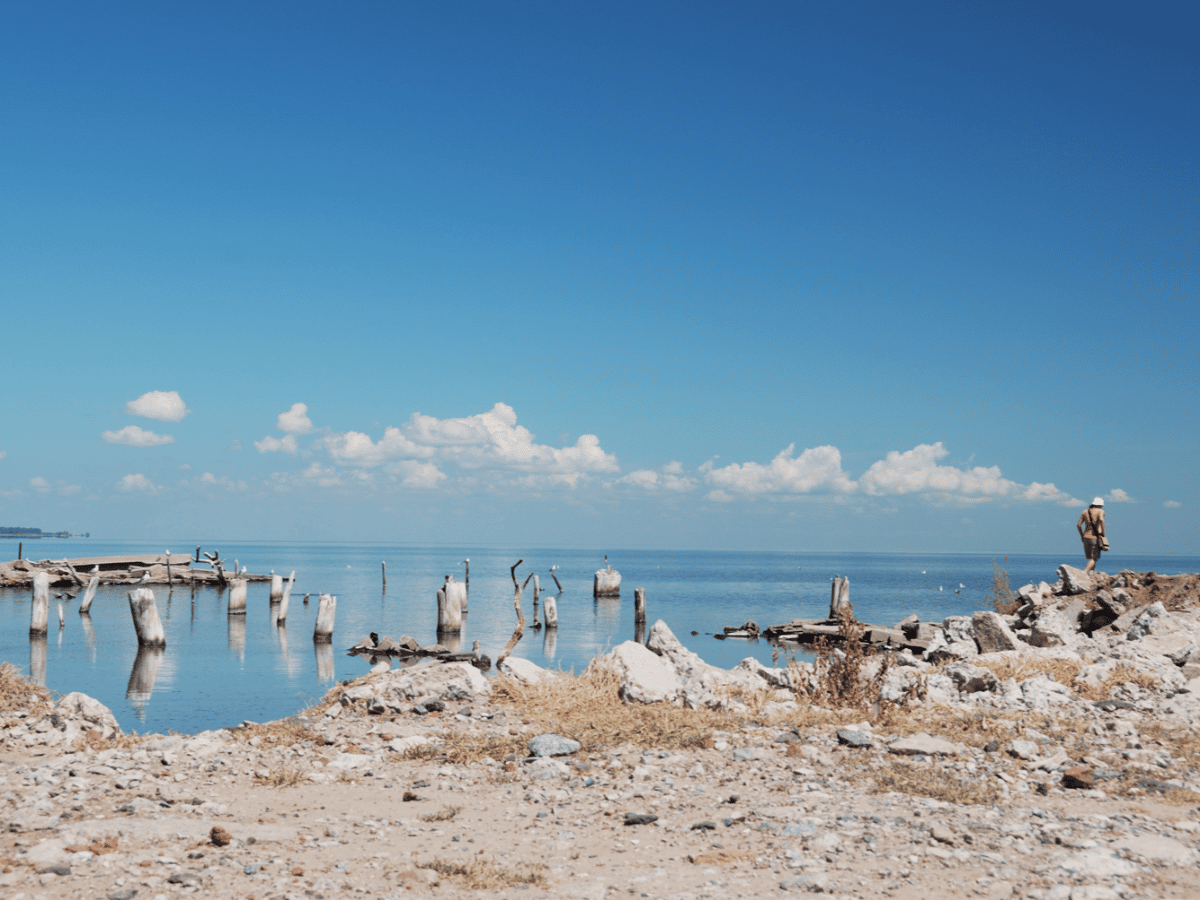 Laguna Mar Chiquita, el parque nacional más grande del país