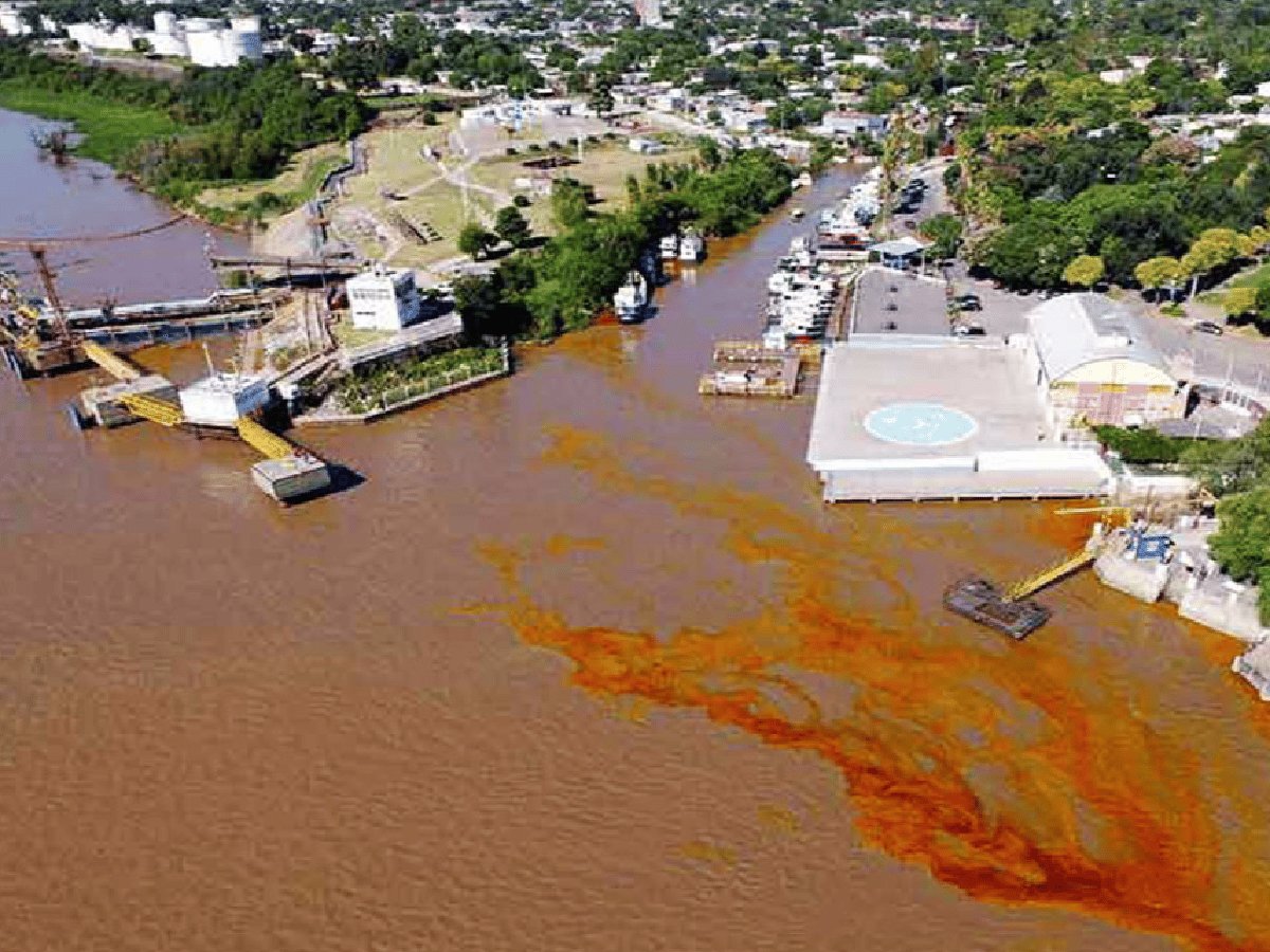 Santa Fe sancionará a Bunge por el derrame de 800 litros de aceite de soja en el río Paraná