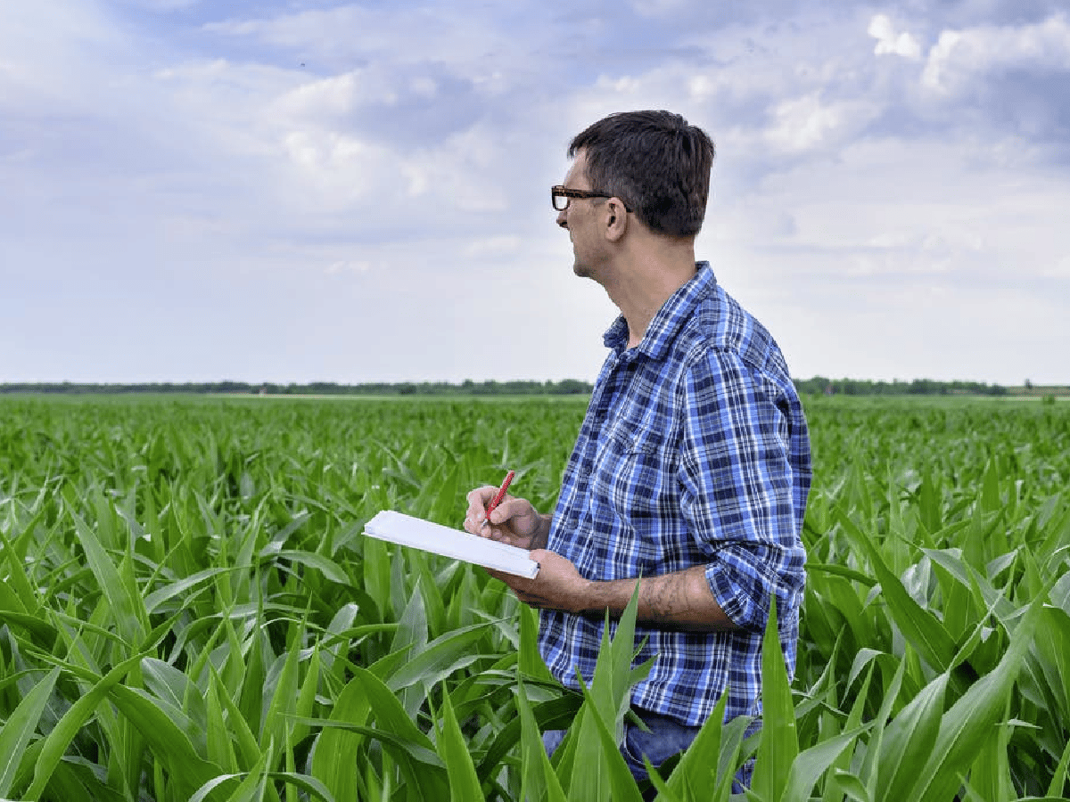 Cuarentena: profesionales del agro pueden obtener certificado para circular 