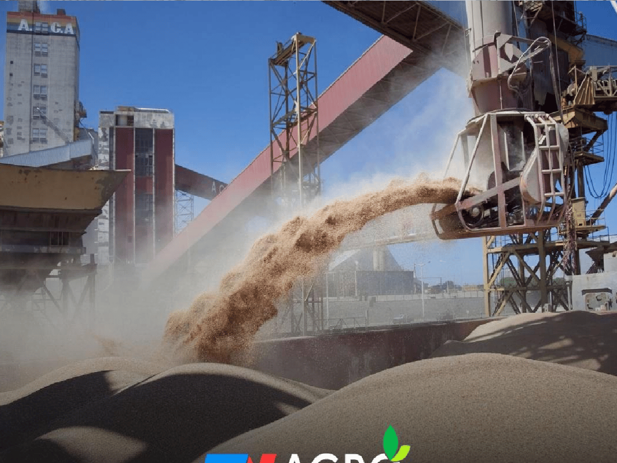 China comenzará a comprar harina de soja argentina