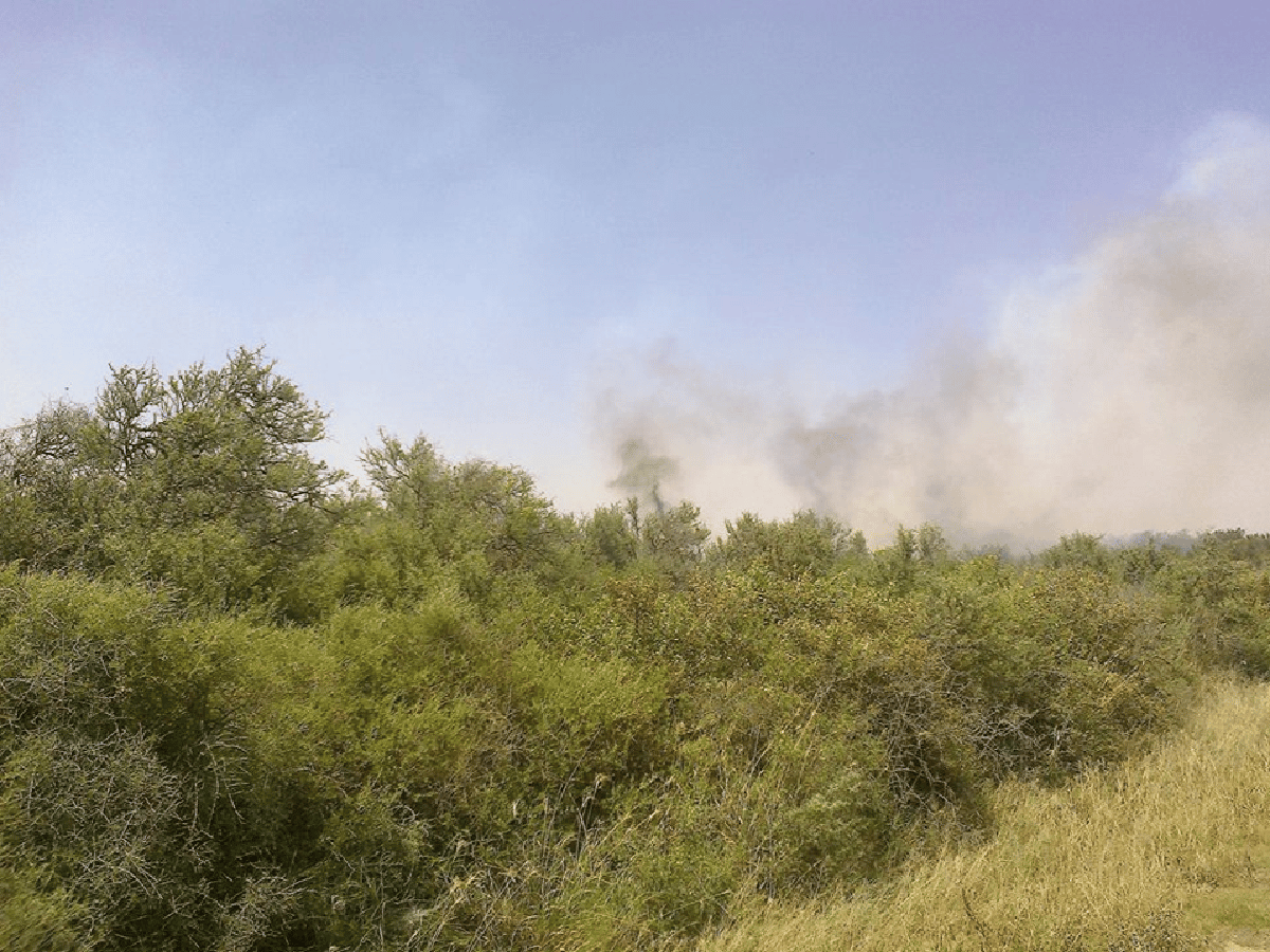 Se quemaron 50 hectáreas de monte en Jerónimo Cortez