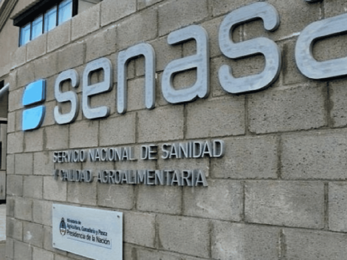 Desafectaron a más de 200 trabajadores en el Senasa