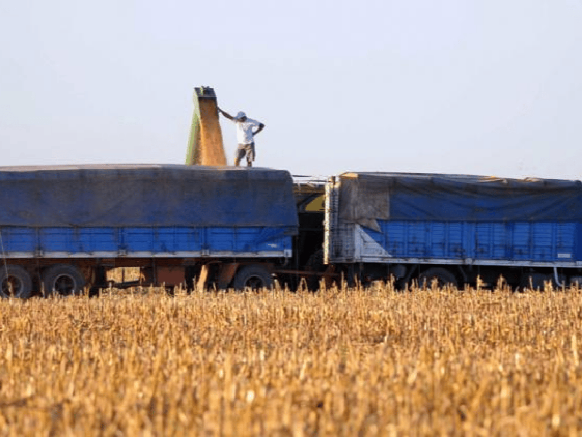 La Afip confiscó casi 5.000 toneladas de granos y derivados