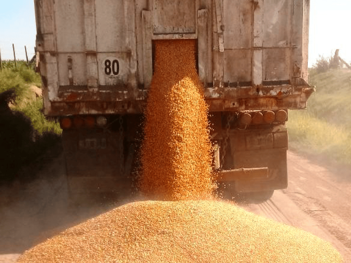Escala la violencia en la protesta de transportistas de cereales 