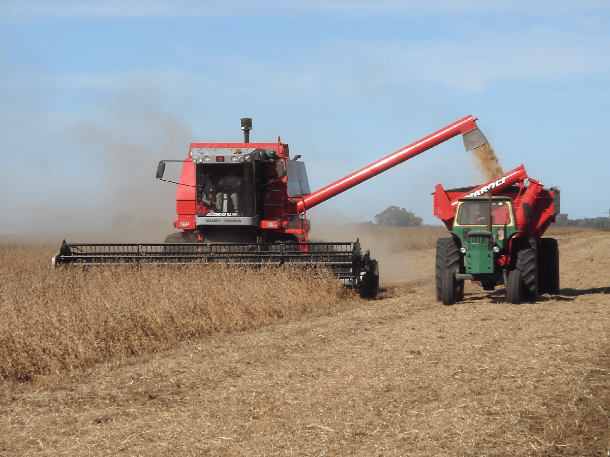 Cerealeros cordobeses preocupados por la sequía que reducirá la cosecha de soja