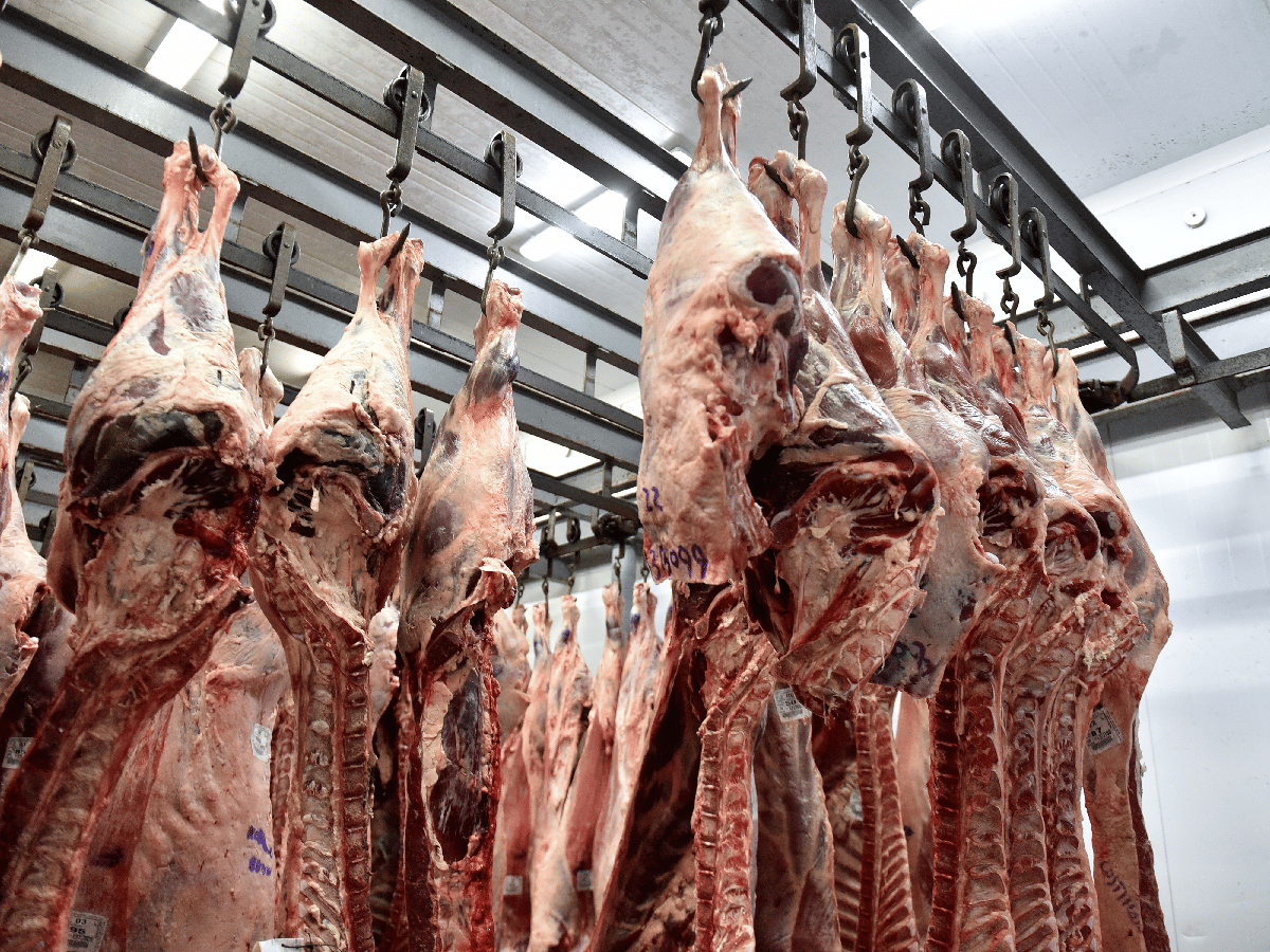 Crece la faena y exportación de carne pero cae el consumo    