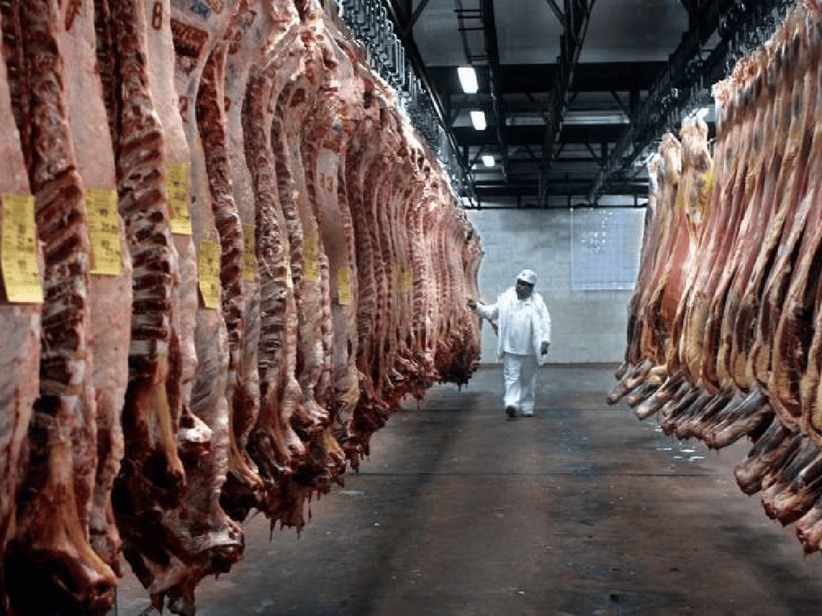 Exportaciones de carne marcan un camino