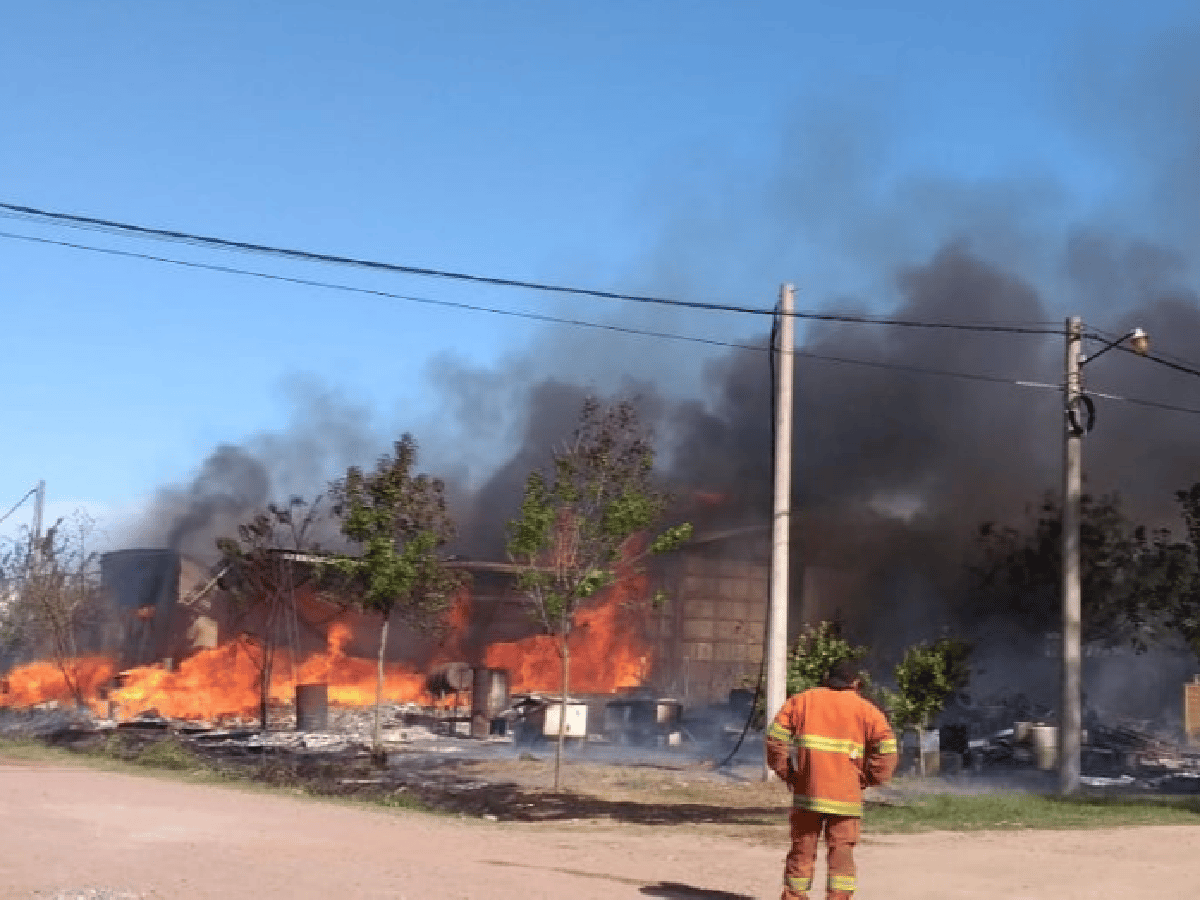Incendio de magnitud destruyó un depósito de colmenas en Suardi
