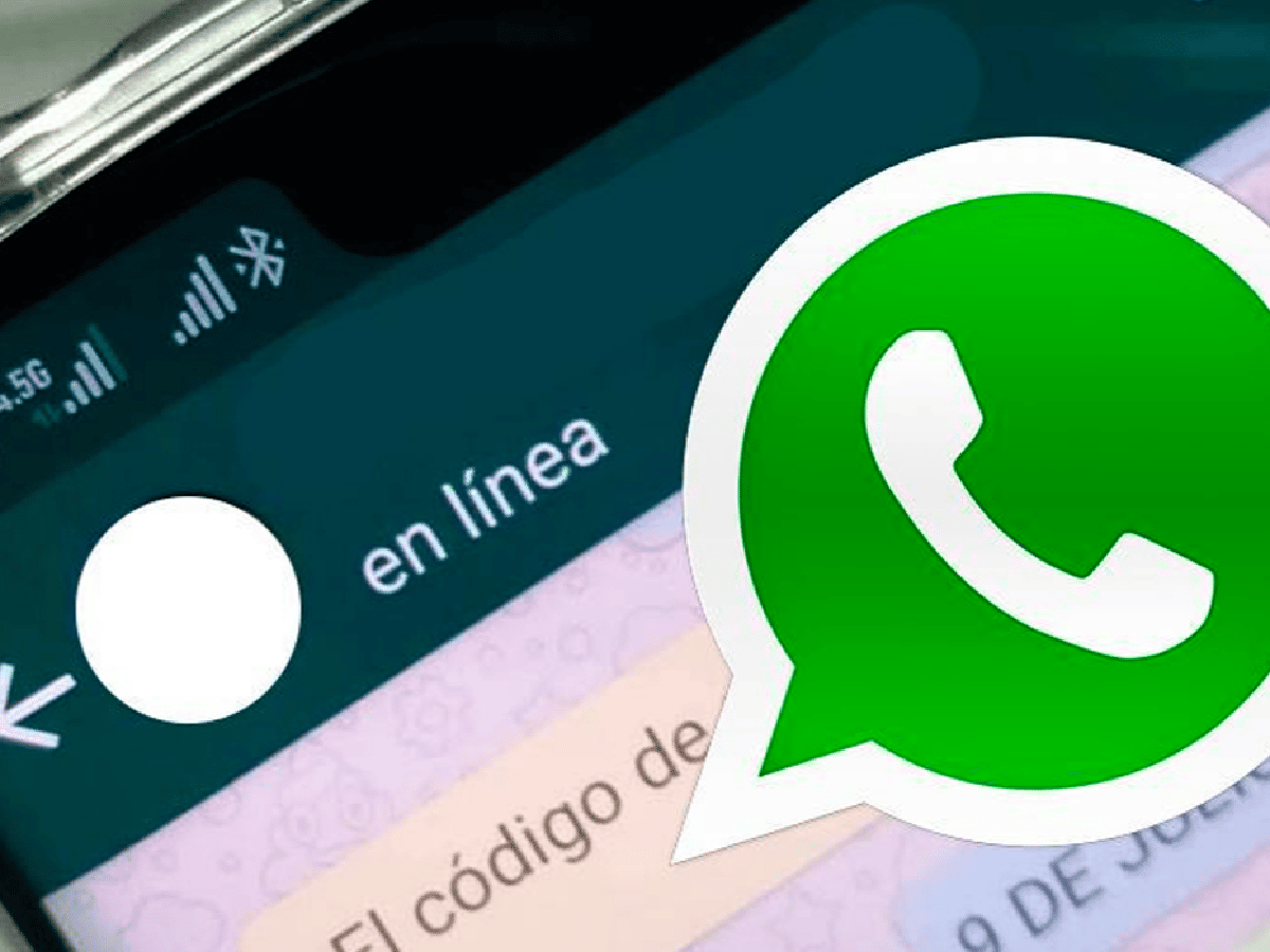 Municipalidad asesora por Whatsapp a beneficiarios del bono de 10 mil pesos   