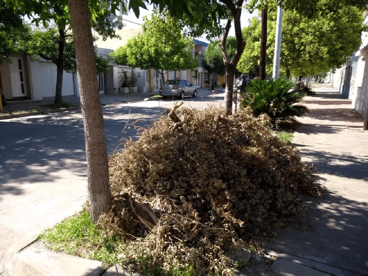Siguen las tareas de limpieza tras el temporal y piden a los vecinos no volver a tirar ramas ni generar minibasurales