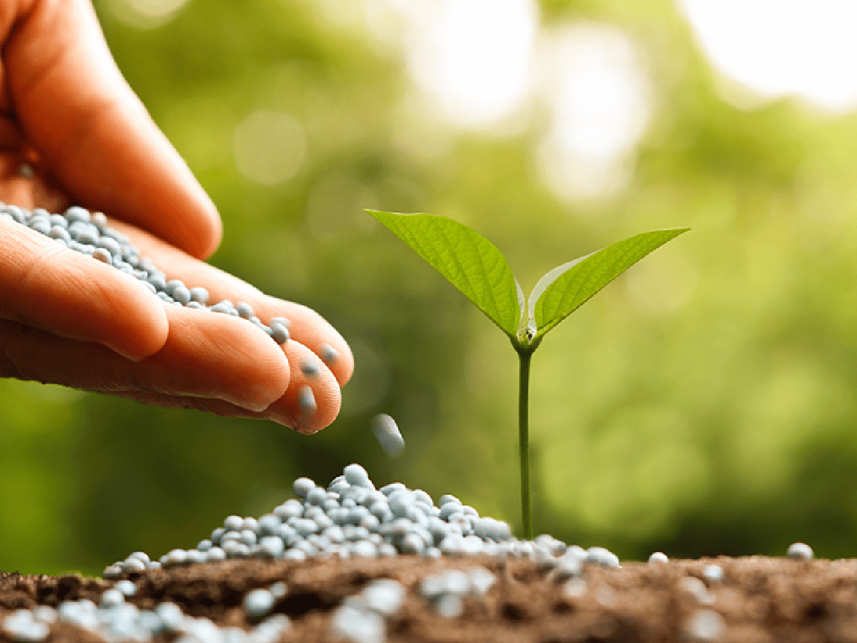 El consumo de fertilizantes creció por segundo año consecutivo