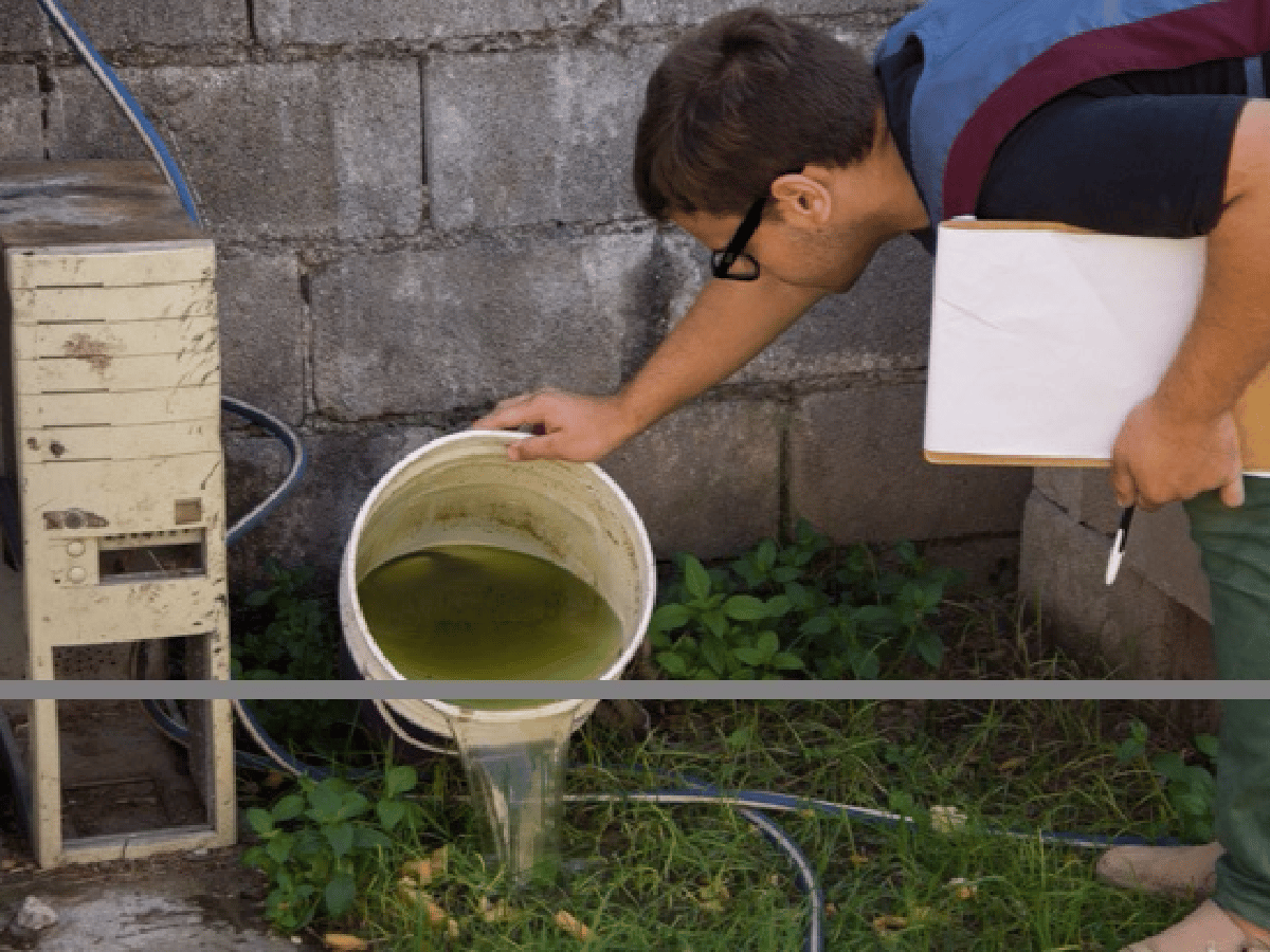 Córdoba: 1 de cada 4 viviendas con reservorios de larvas de mosquitos