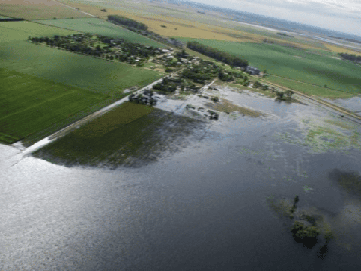 El Gobierno declara la emergencia agropecuaria en Chaco, Córdoba y Formosa