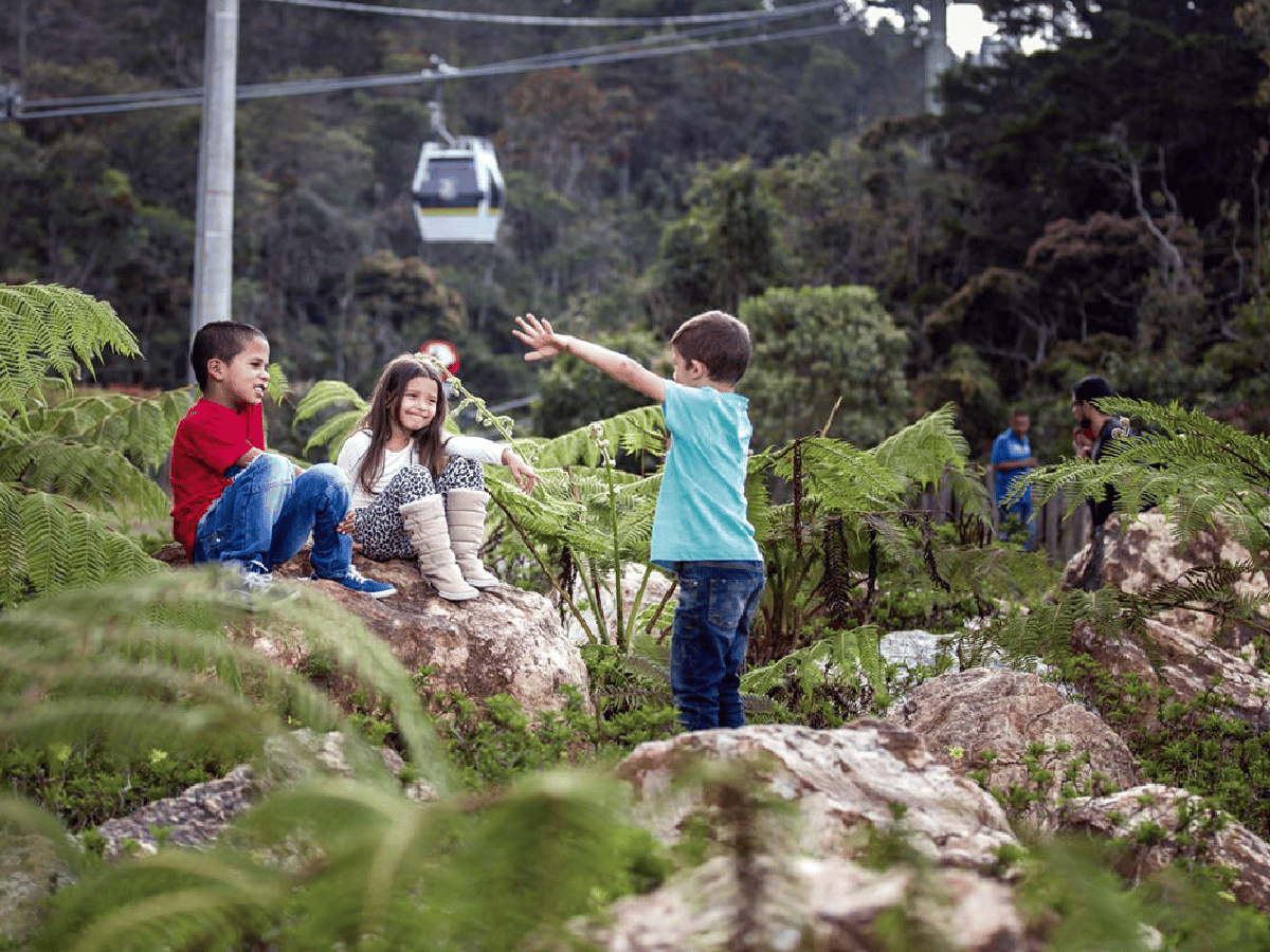 Medellín: el destino elegido por los turistas argentinos 