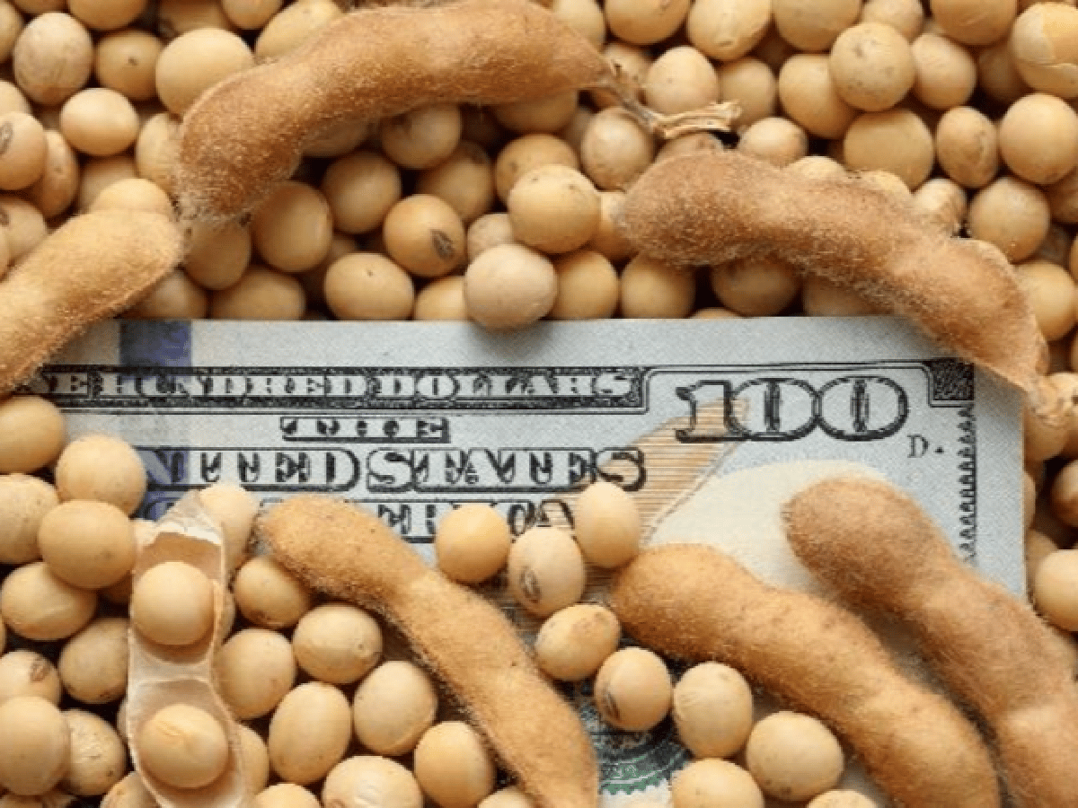 Agroexportadores liquidaron un 41% más de dólares en agosto      