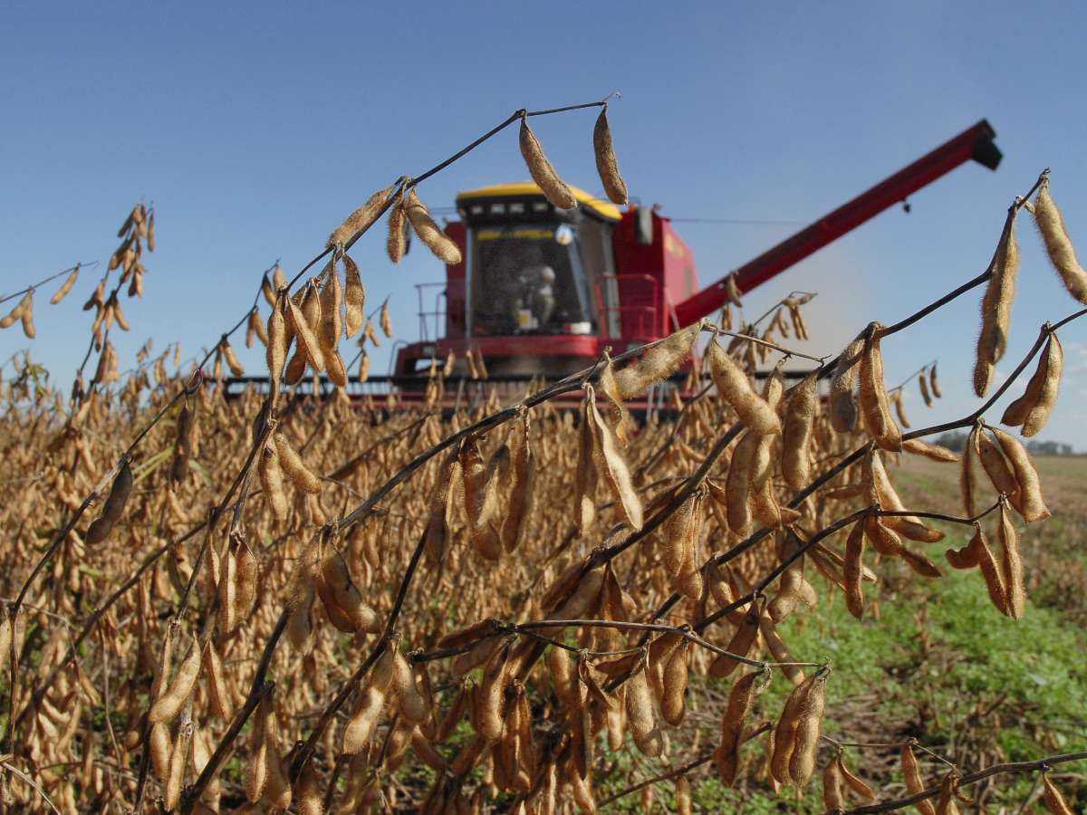 Con más de 35 millones de toneladas, Córdoba alcanzó nuevo récord de cosecha      