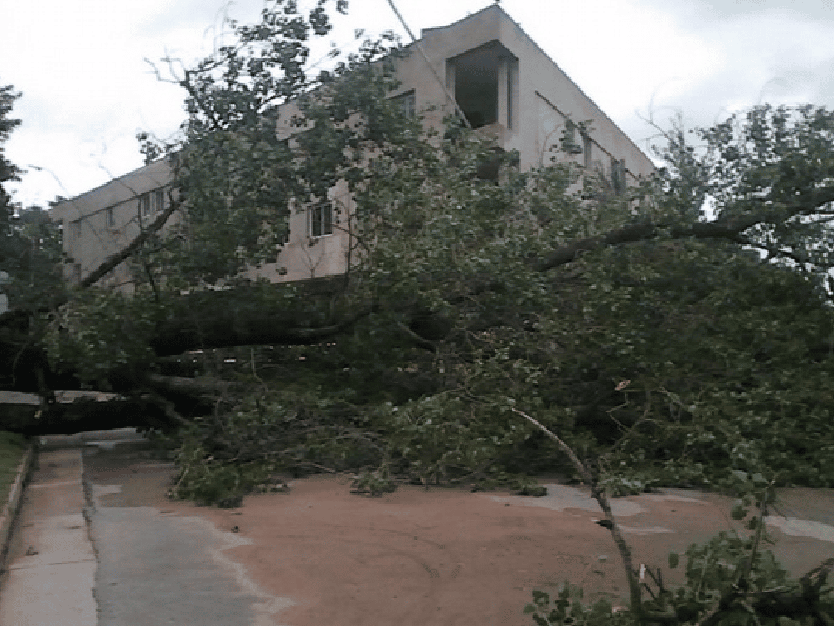 Tormenta feroz en Villa María: voló techos y derribó árboles