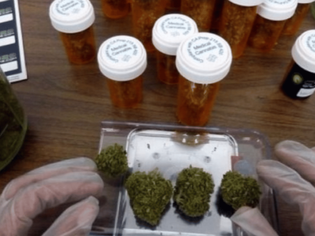 Jujuy se convertirá en la segunda  provincia que producirá cannabis medicinal