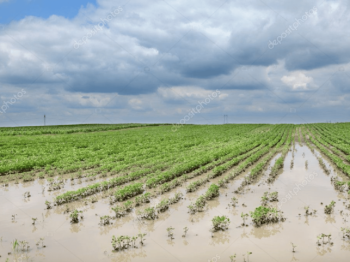 Campos inundados: el reclamo de siempre