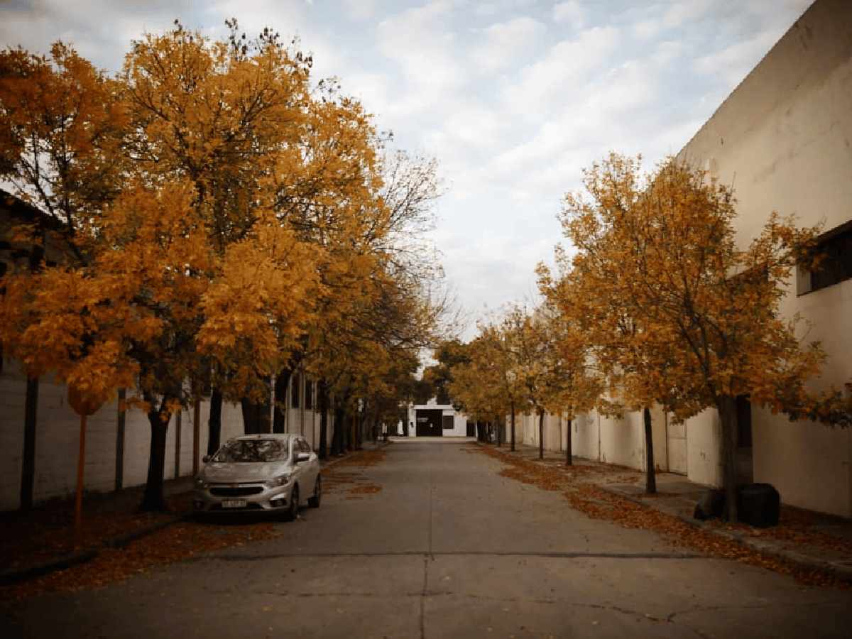 Las hojas del otoño en la ciudad