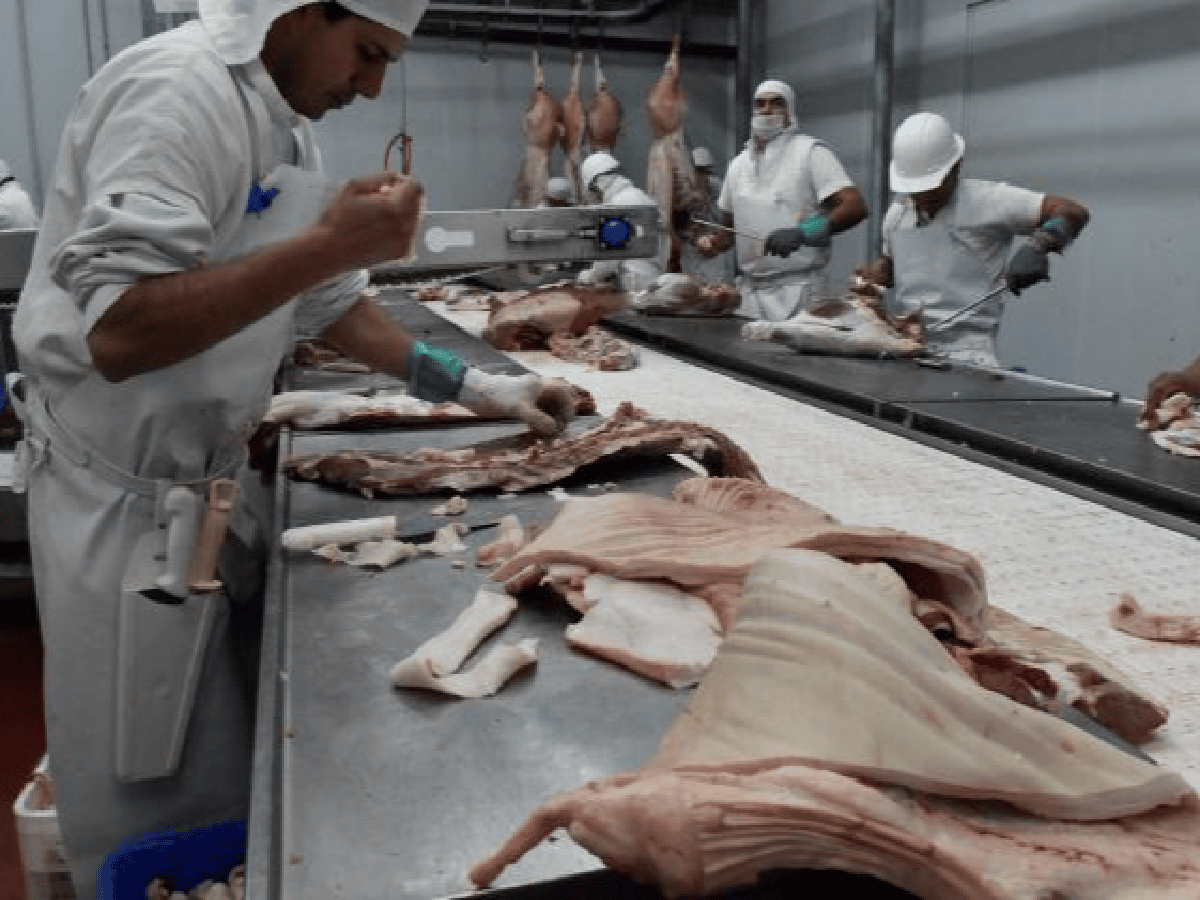 Otro récord para las carnes: se exportarían este año 20 mil toneladas de cerdo