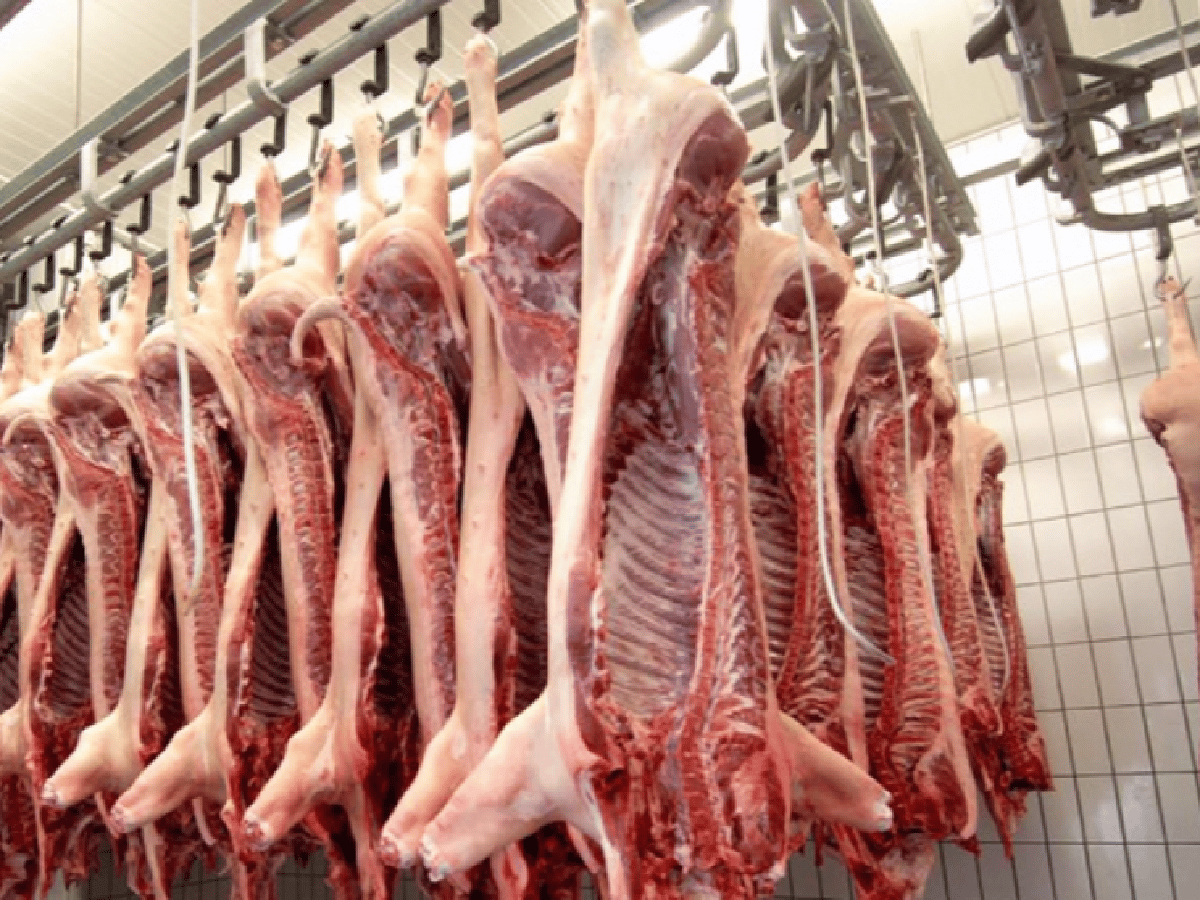 Carne porcina: crece la producción, pero no alcanza a cubrir la demanda  