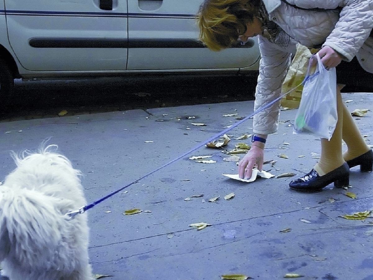 En Mendoza, multarán con hasta $12 mil a los que no levanten la caca de su perro