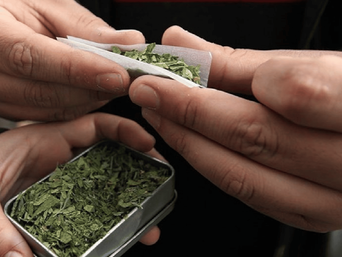 Los argentinos gastan $21.600 al año en compras de marihuana