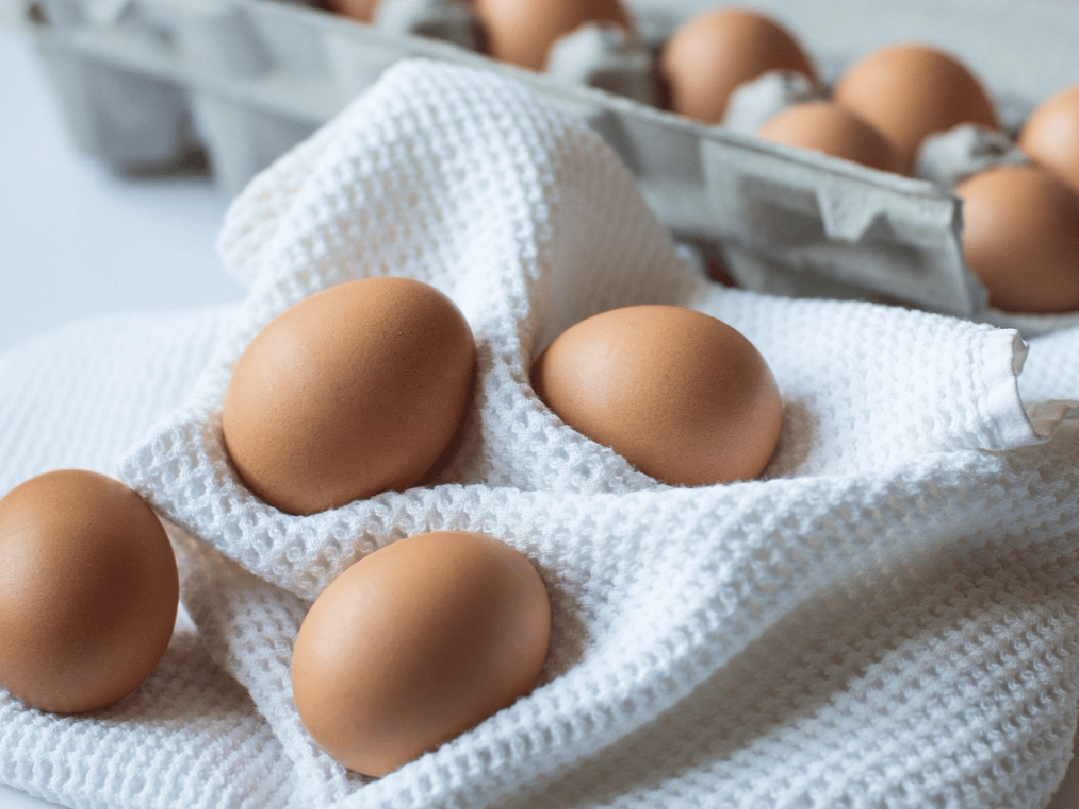 El consumo de huevos creció 3% en 2016 y el stock avícola superó los 43 millones de pollos