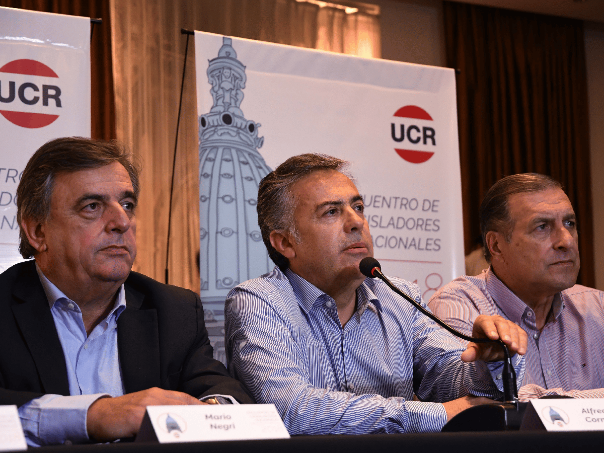 En la cumbre de la UCR los radicales ratificaron el apoyo al gobierno nacional