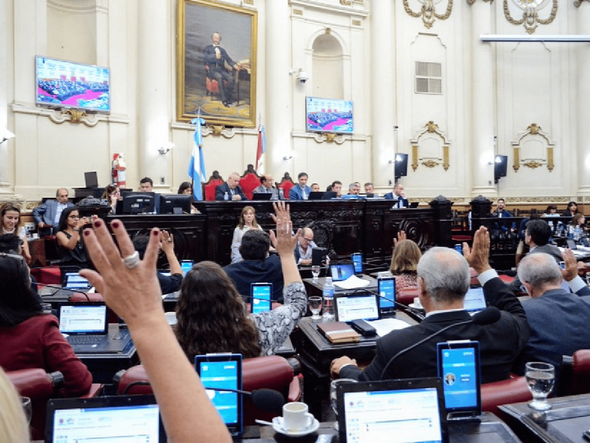 Por unanimidad, la Legislatura aprobó la adhesión a la "Ley Micaela"