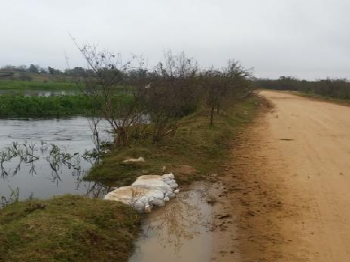 Alto Verde: vecinos del paraje La Boca denunciaron que se roban las bolsas para contener la inundación