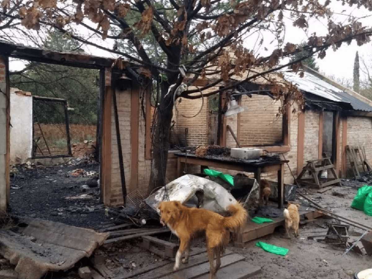 Unos 50 perros murieron calcinados en un refugio de Pilar