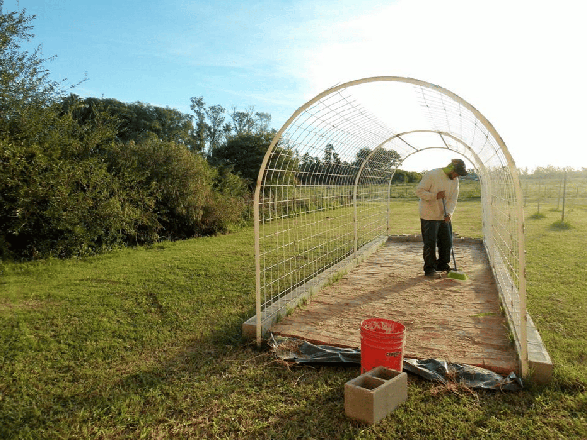 Construyen un invernadero para preservar plantas nativas, educar y forestar plazas