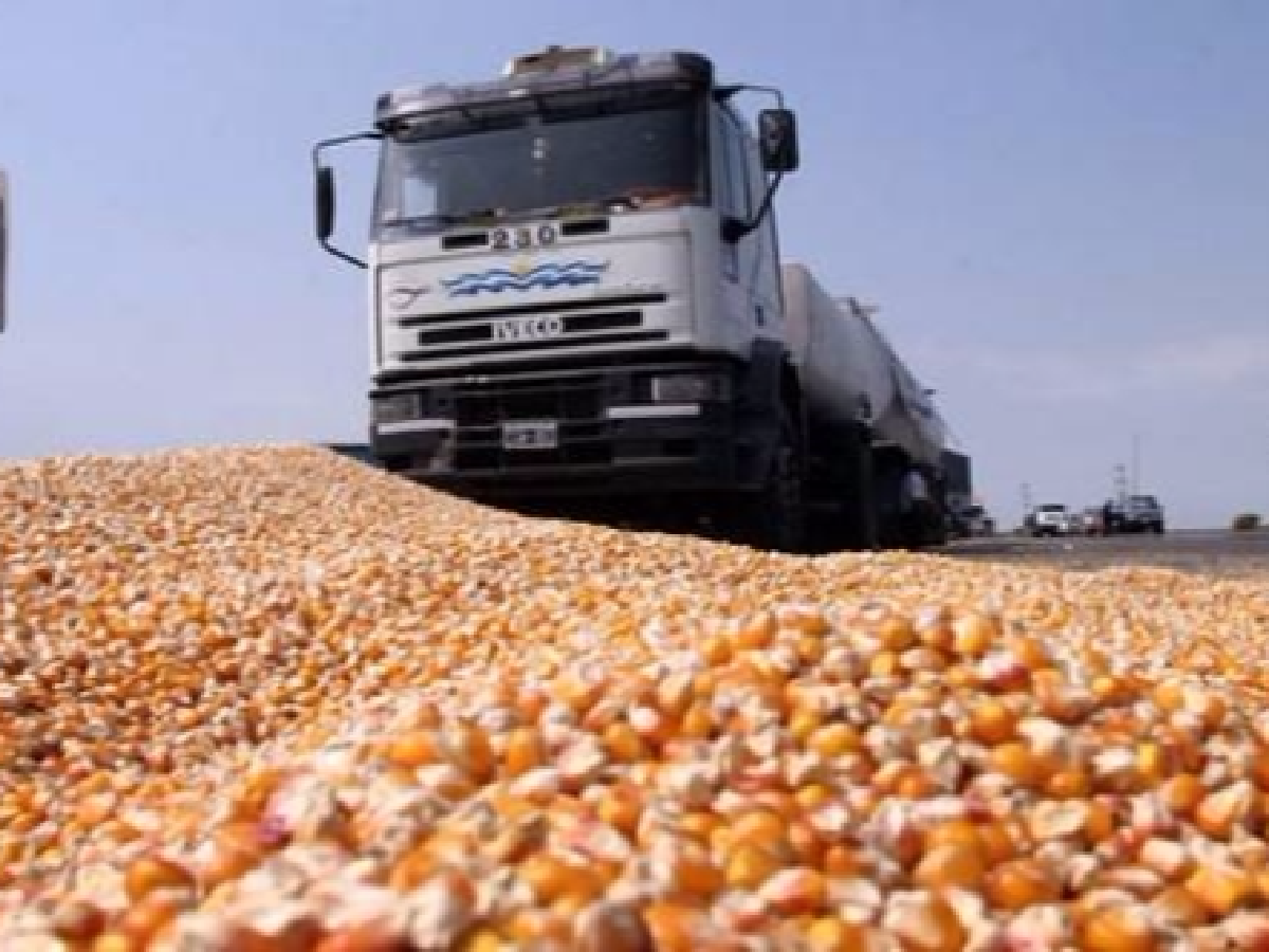 El sector agroexportador liquidó u$s 294 millones en la primera semana del año