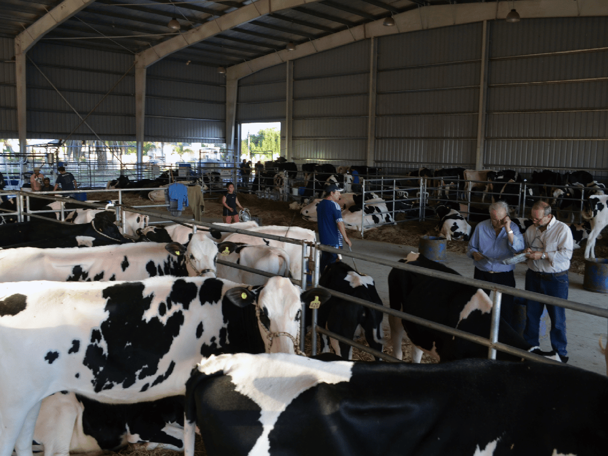 Arranca la Expo internacional de lechería en Morteros  