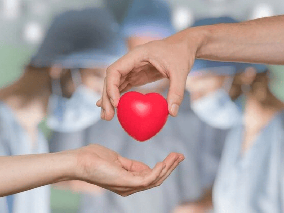 En 2019 se alcanzó una nueva marca histórica en donantes y trasplantes de órganos