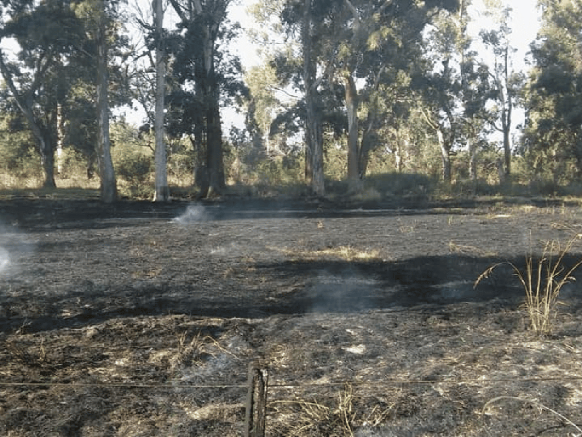 Los incendios en lotes y campos suman más salidas para los bomberos 