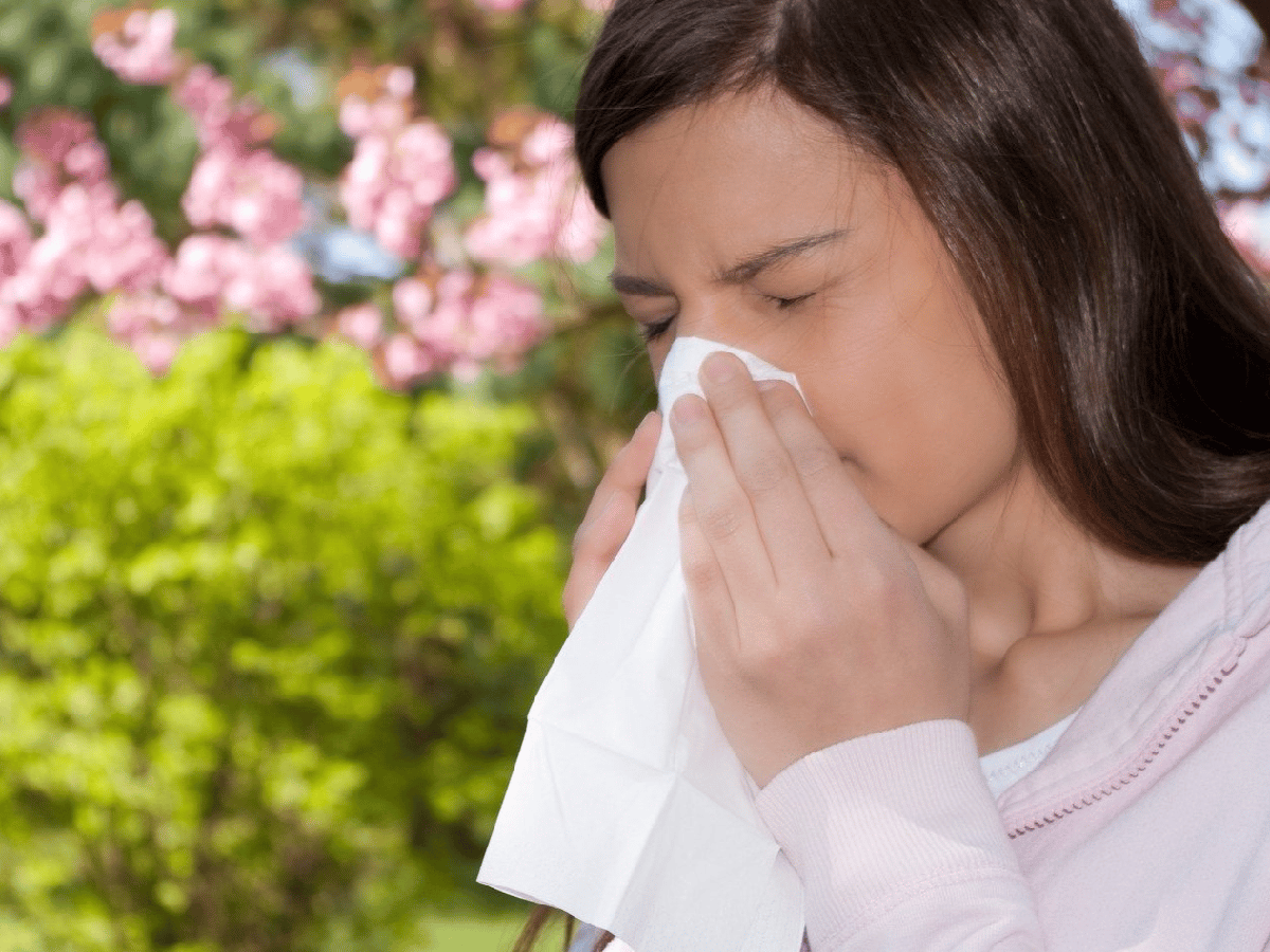 Cuáles son los alimentos  que ayudan a combatir las  alergias de la primavera