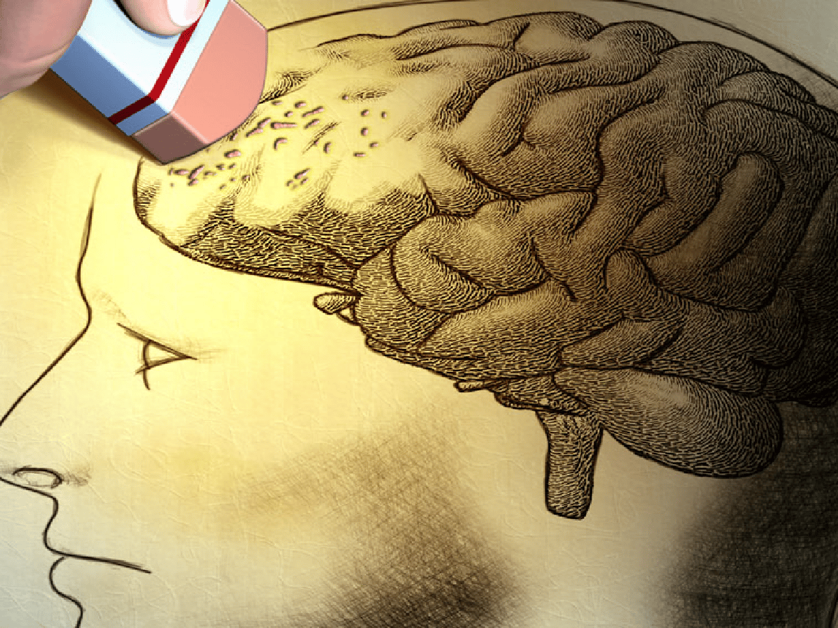 Una nueva droga podría revertir la pérdida de la memoria