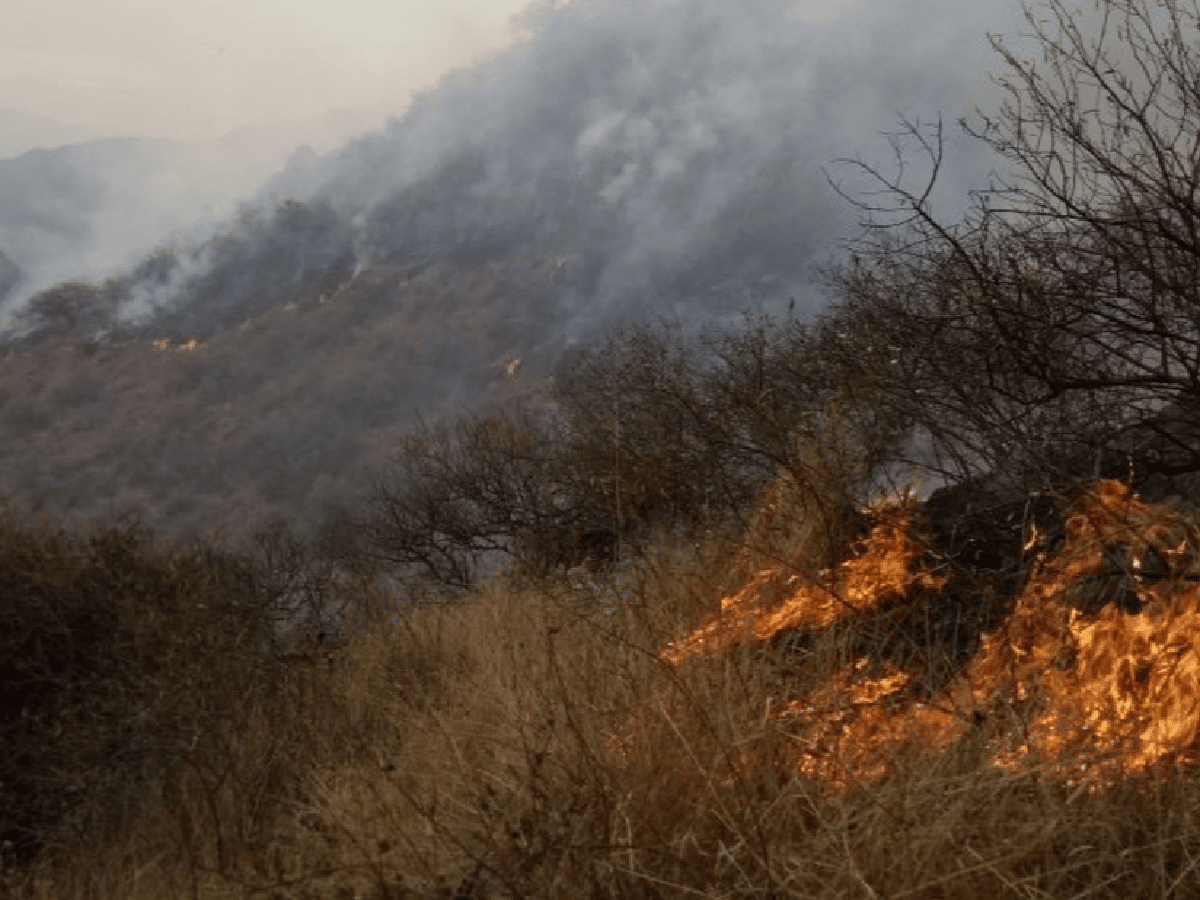 El índice de peligro de incendios forestales es MUY ALTO-EXTREMO
