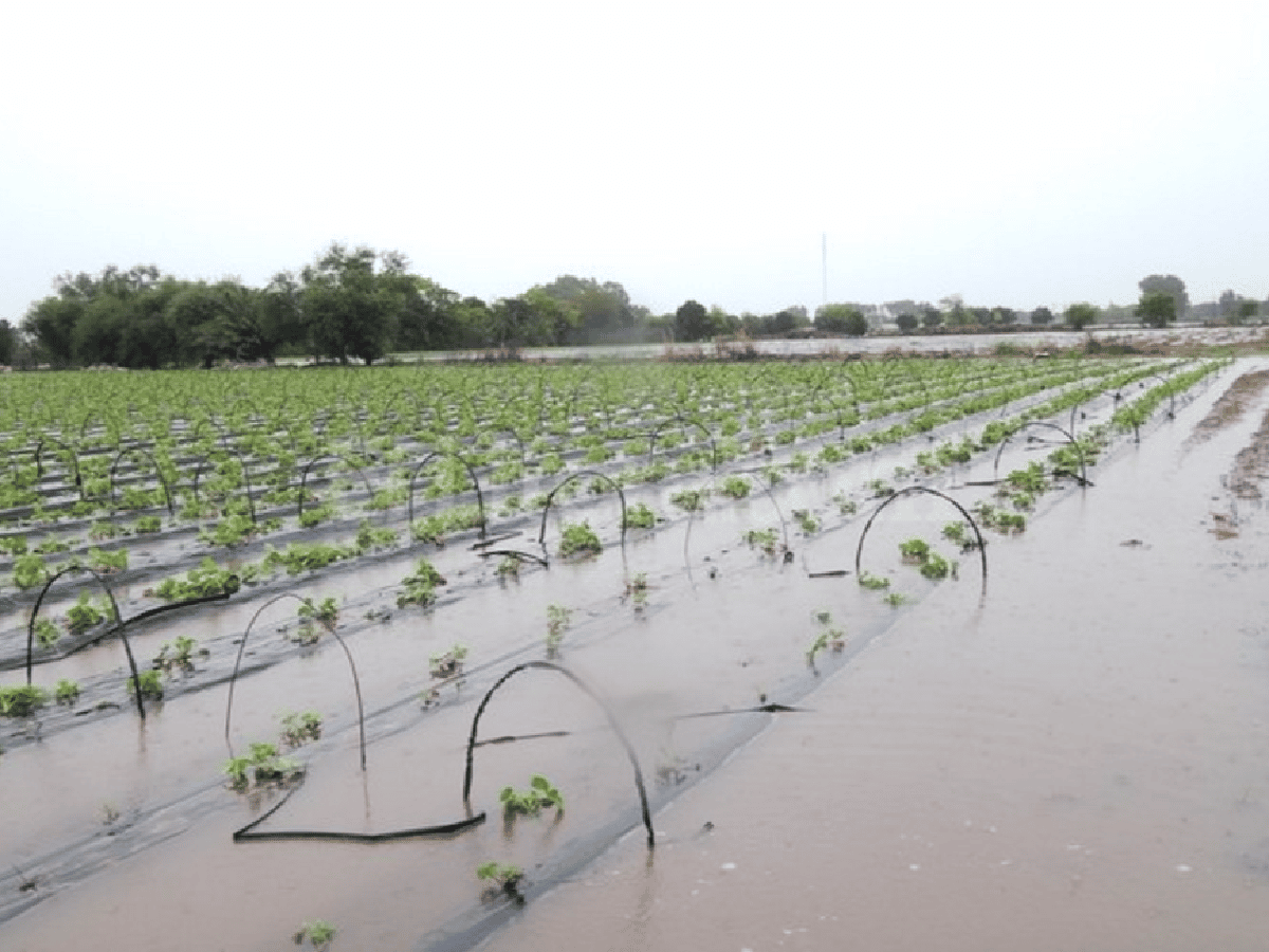Córdoba decreta la Emergencia Agropecuaria por causa de las lluvias