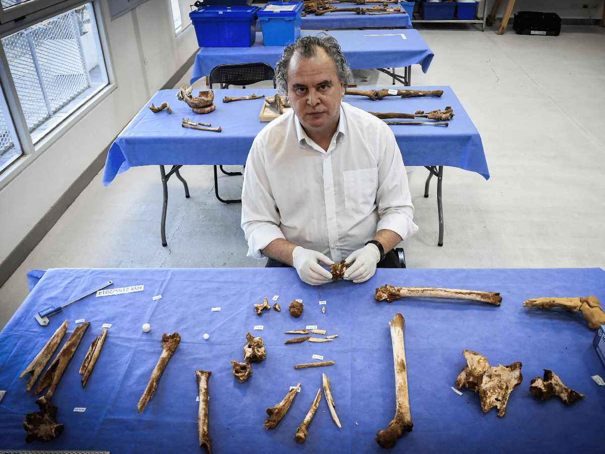 El Equipo de Antropología Forense cumple 35 años buscando la verdad detrás de los huesos