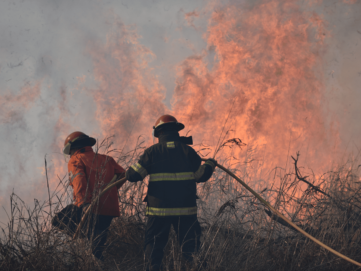Ardua labor de bomberos durante un incendio rural
