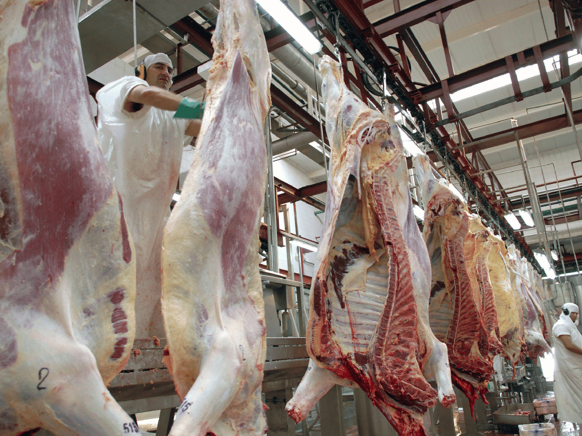 Carne: Macri analiza  "bajar impuestos"  para aumentar exportaciones 