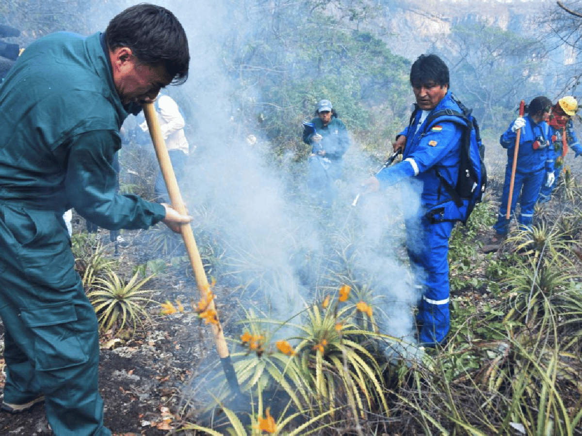 Fotos: Evo Morales se puso el traje de bombero y ayudó a combatir incendios en Bolivia