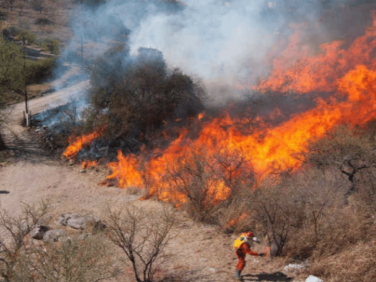Bomberos combaten el fuego en las sierras de Córdoba